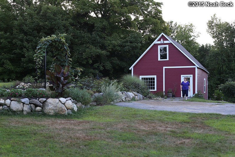 August 22, 2015: Garden at the top of the driveway with Roz coming out of the barn