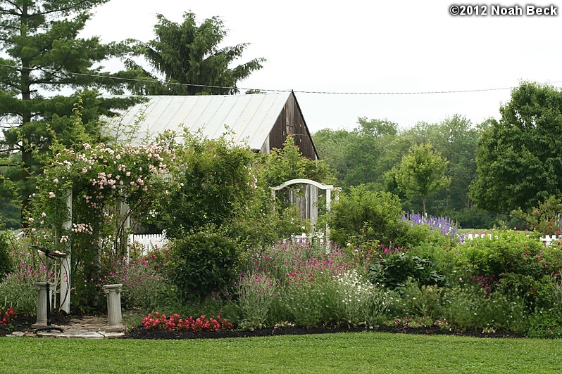 June 1, 2012: The garden at the wedding rehearsal