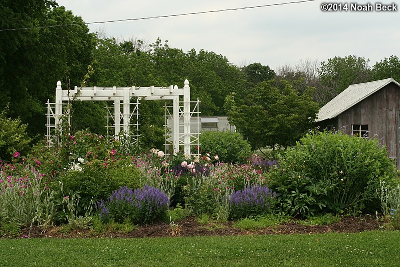 June 2, 2014: Gardens at the Beck Farm