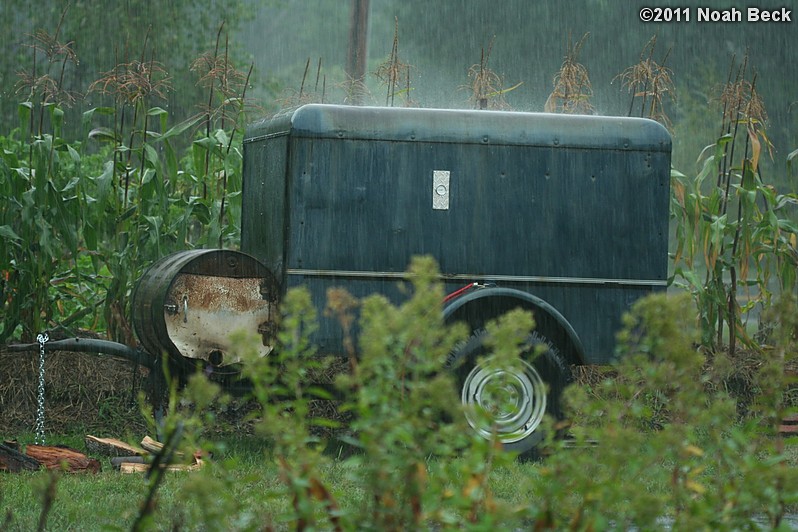 August 28, 2011: Gardens and Rich&#39;s pig roaster during Hurricane Irene