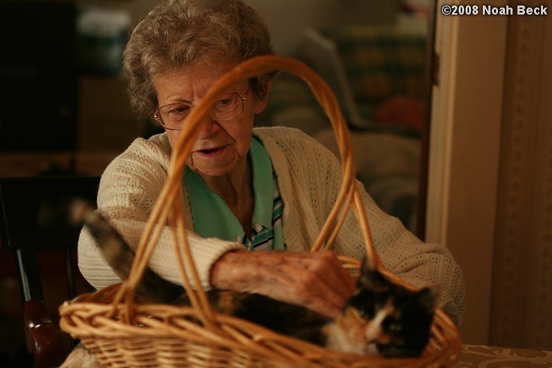 July 31, 2008: Grandma petting Katie in a basket