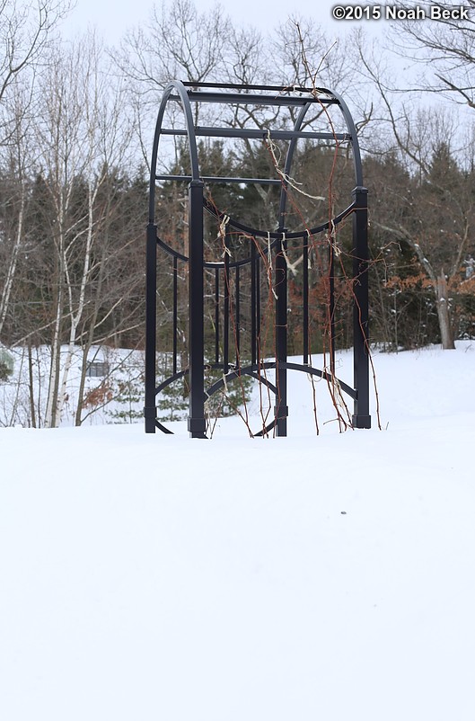 February 10, 2015: Grape arbor in the snow