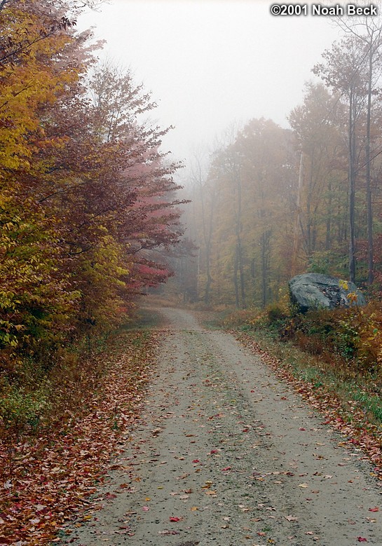 October 20, 2001: A gravel road on a foggy evening