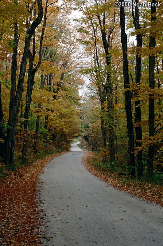 October 7, 2000: A gravel road leading through some yellowing trees.