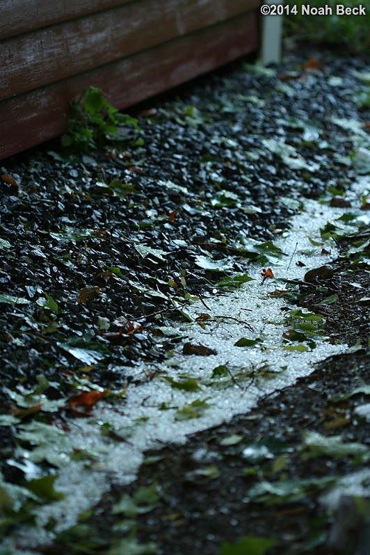 August 7, 2014: Hail stones remaining from a storm a few hours earlier