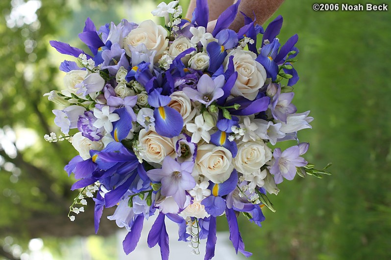 May 27, 2006: hand-held bouquet