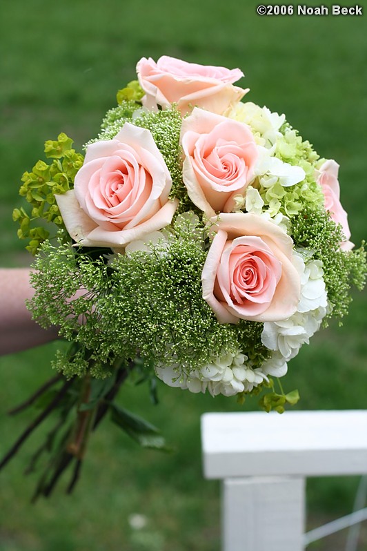 June 1, 2006: Hand-held bouquet