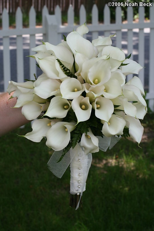 June 20, 2006: Hand-held bouquet