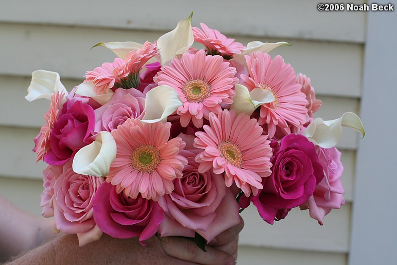 August 5, 2006: hand-held bouquet