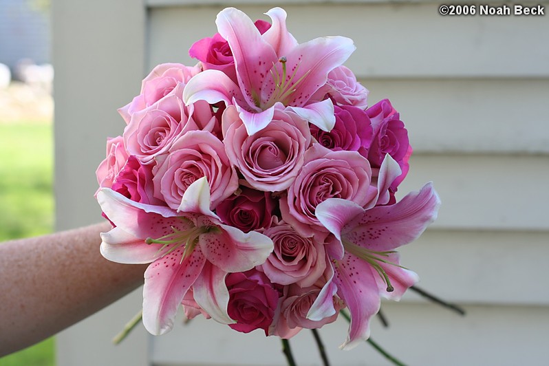 August 5, 2006: hand-held bouquet