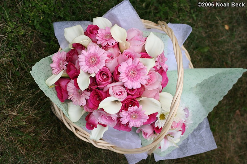 August 19, 2006: hand-held bouquet