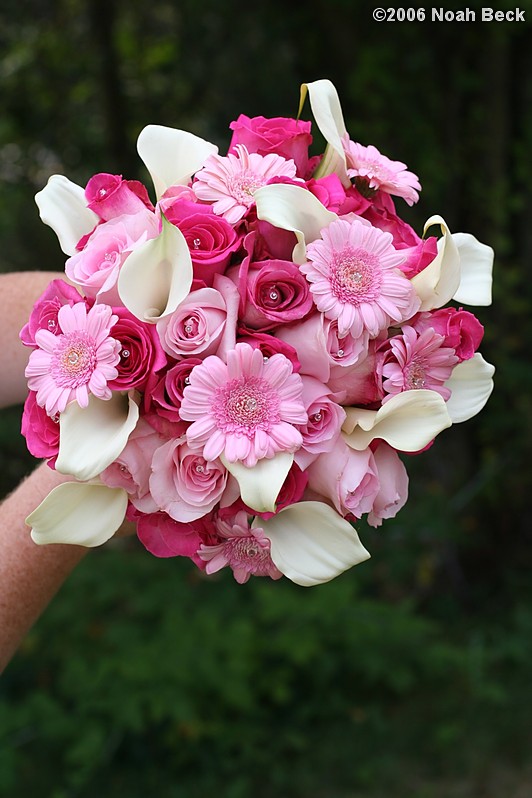 August 19, 2006: hand-held bouquet