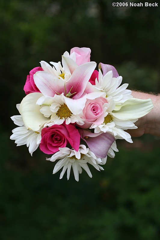 August 19, 2006: hand-held bouquet