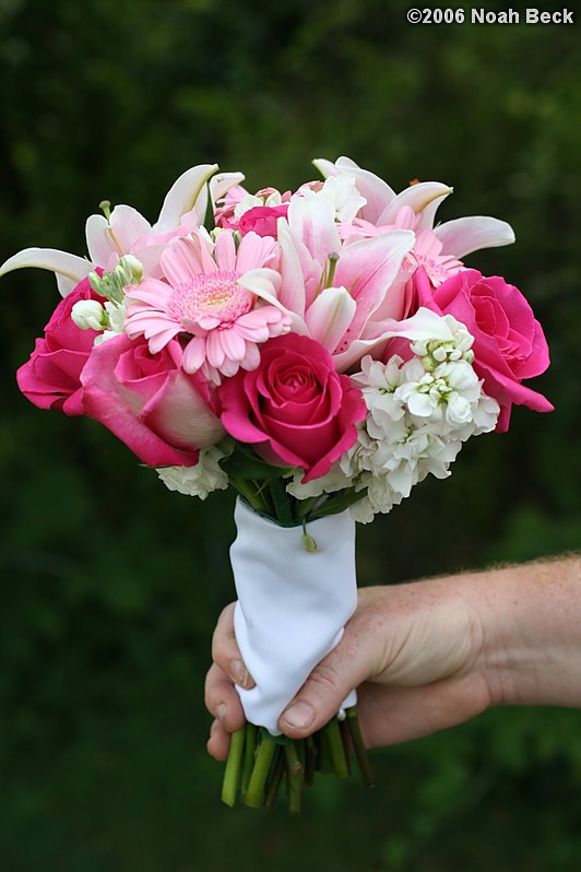 August 19, 2006: hand-held bouquet