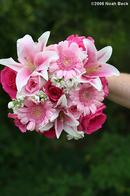 August 19, 2006: hand-held bouquet