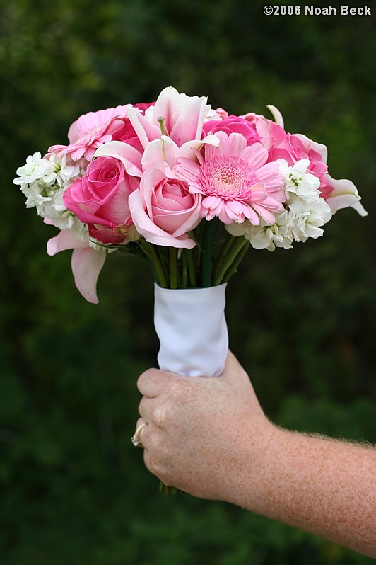 August 19, 2006: hand-held bouquet