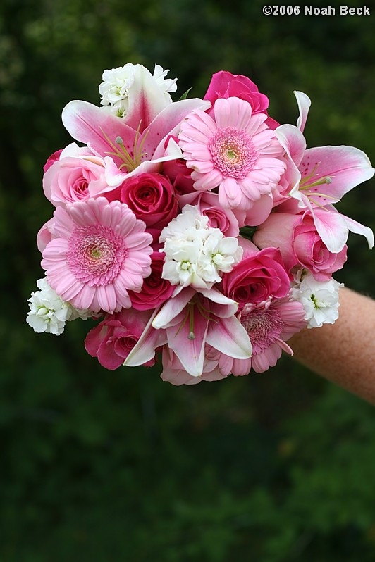 August 19, 2006: hand-held bouquet