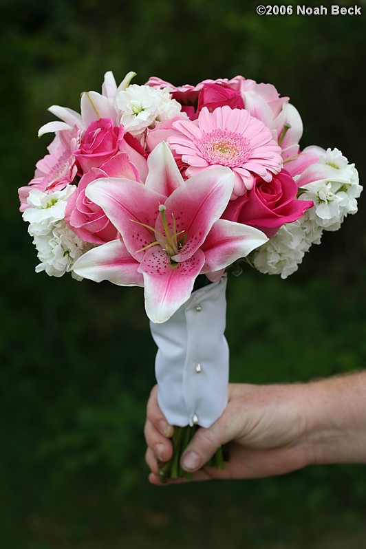 August 19, 2006: hand-held bouquet