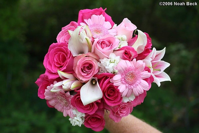 August 19, 2006: hand-held bouquet