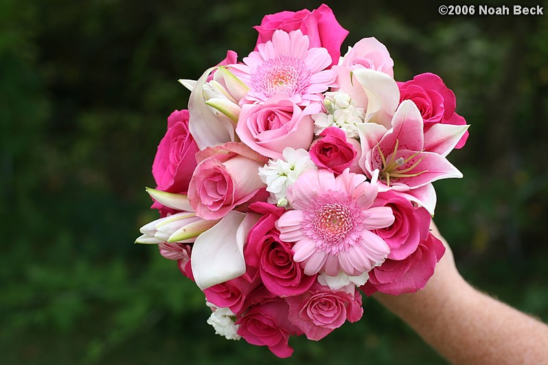 August 19, 2006: hand-held bouquet