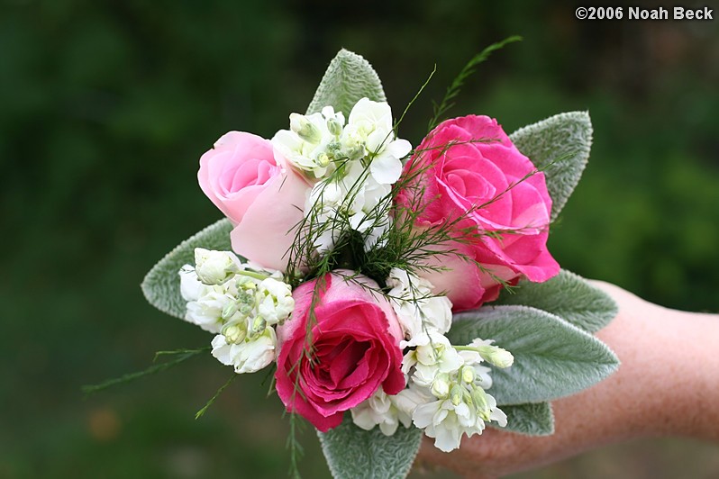 August 19, 2006: hand-held bouquet