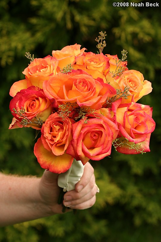 June 1, 2008: hand-held bouquet