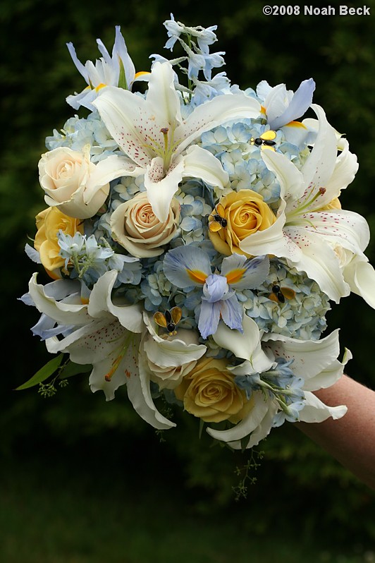 June 28, 2008: hand-held bouquet