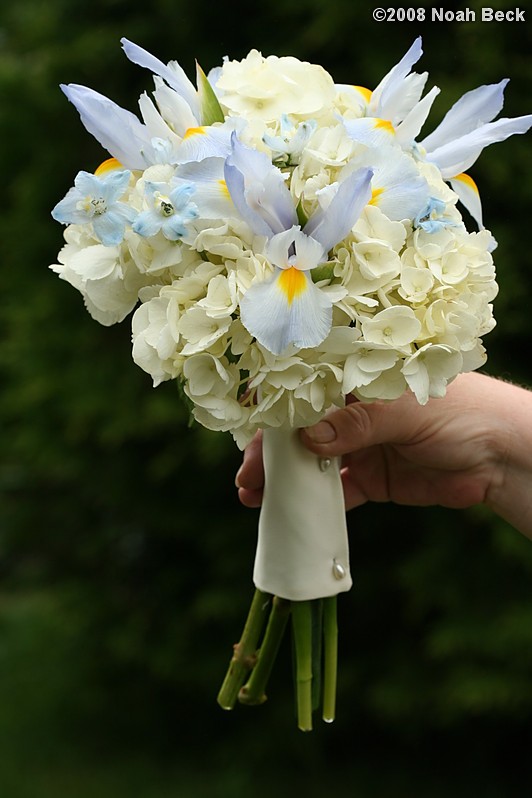 June 28, 2008: hand-held bouquet