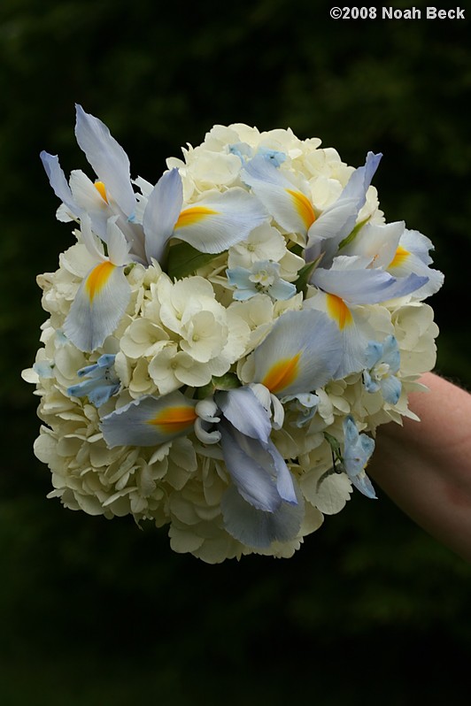 June 28, 2008: hand-held bouquet