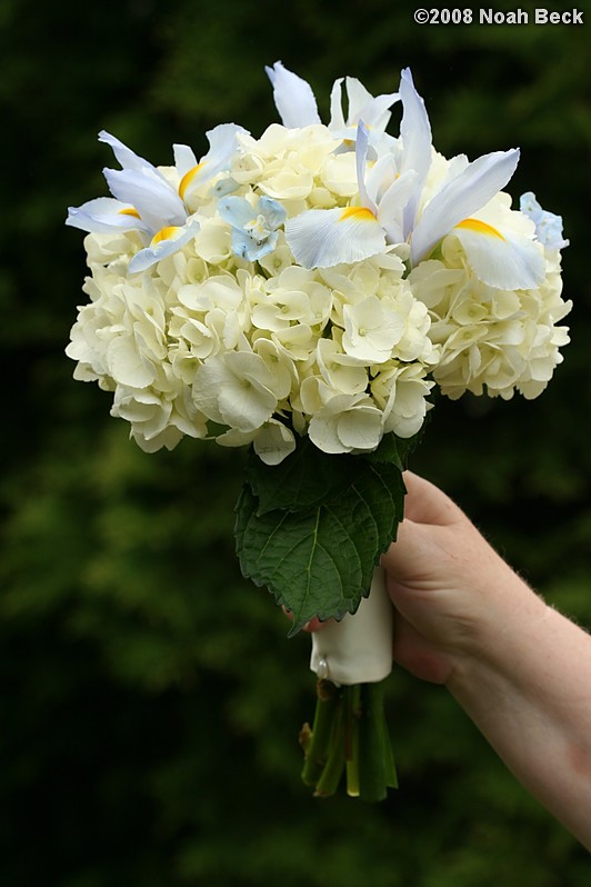 June 28, 2008: hand-held bouquet