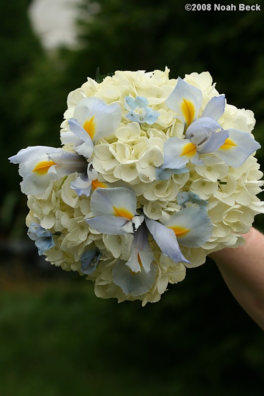 June 28, 2008: hand-held bouquet