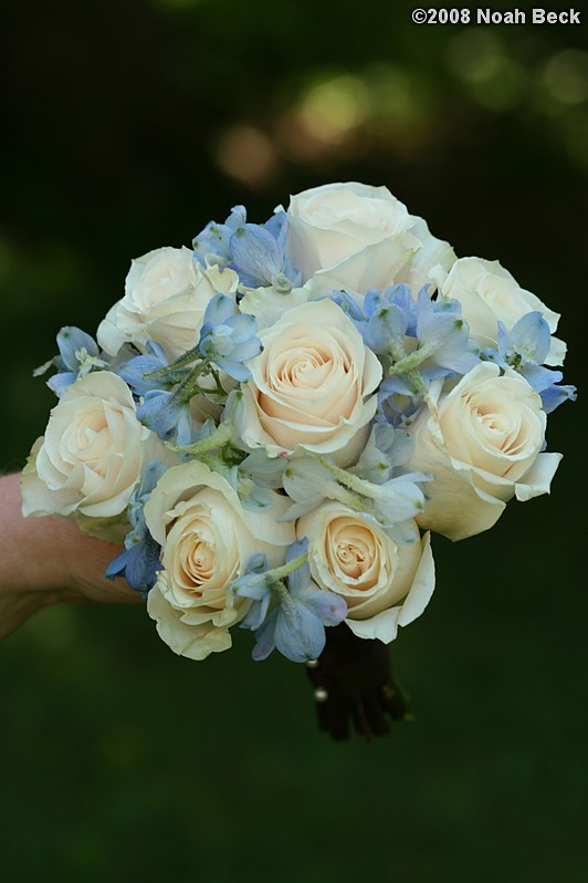 August 23, 2008: hand-held bouquet