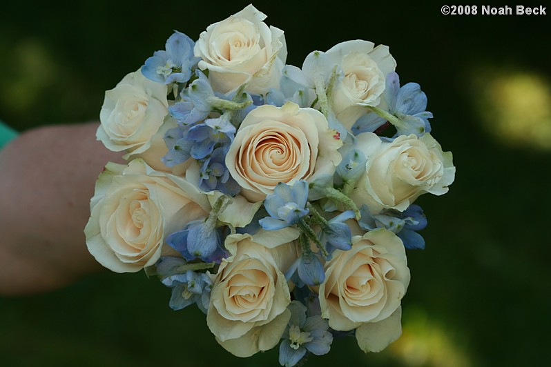 August 23, 2008: hand-held bouquet