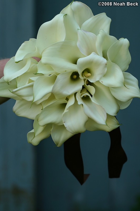 August 23, 2008: hand-held bouquet