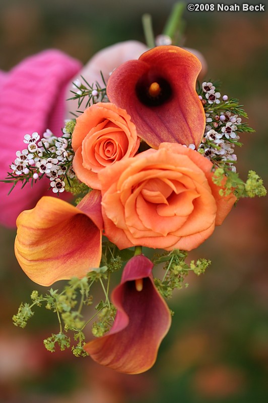 October 18, 2008: hand-held bouquet