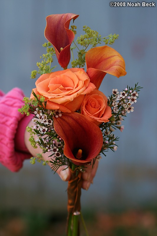 October 18, 2008: hand-held bouquet