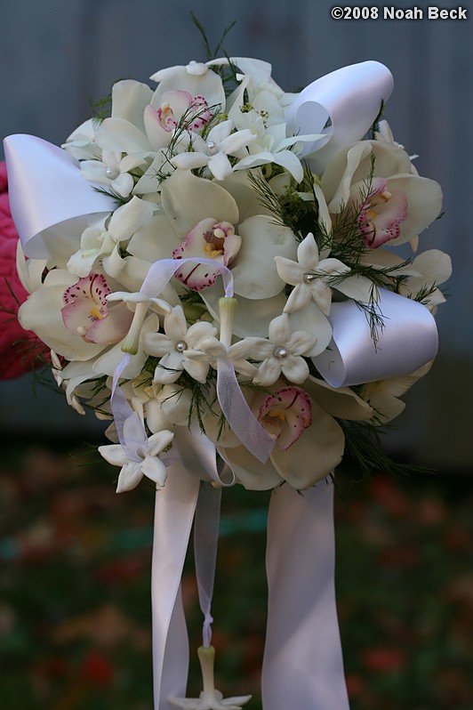 October 18, 2008: hand-held bouquet