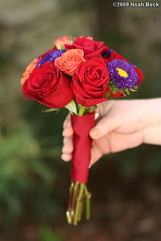 May 2, 2009: hand-held bouquet