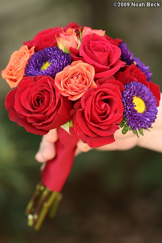 May 2, 2009: hand-held bouquet