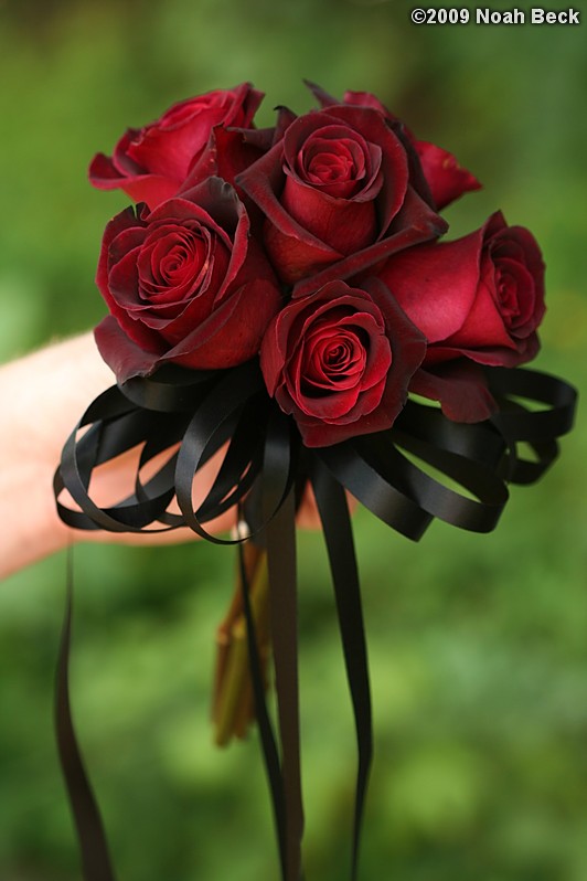 August 1, 2009: hand-held bouquet