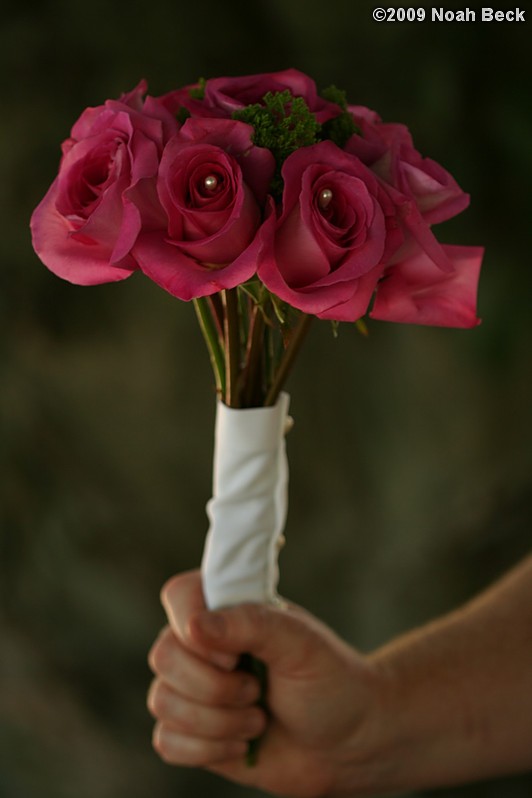 August 15, 2009: hand-held bouquet