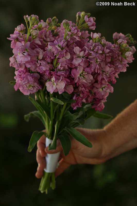 August 15, 2009: hand-held bouquet