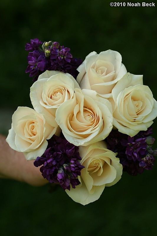 May 15, 2010: hand-held bouquet