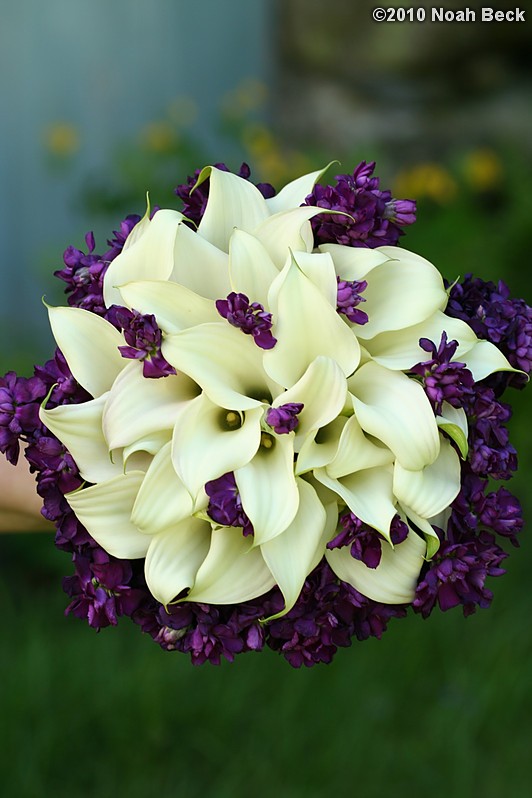 May 15, 2010: hand-held bouquet