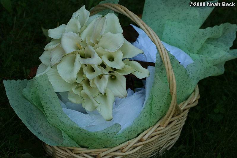 August 23, 2008: hand-held bouquet in a basket