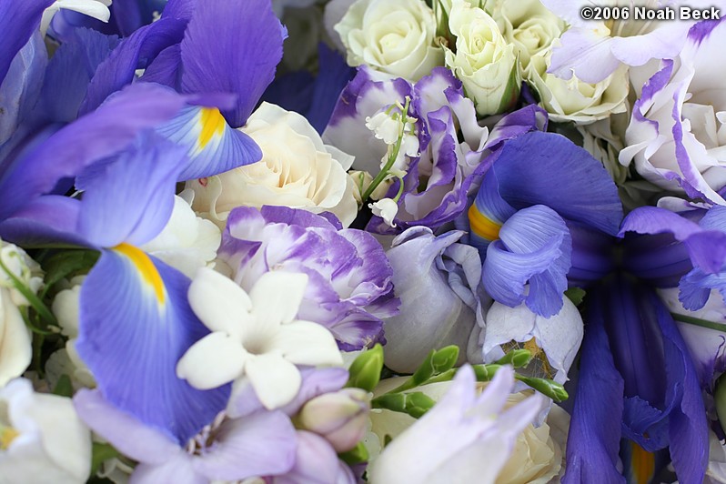 May 27, 2006: Many hand-held bouquets