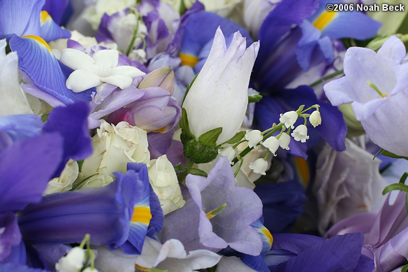 May 27, 2006: Many hand-held bouquets