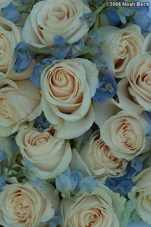 August 23, 2008: hand-held bouquets in a basket