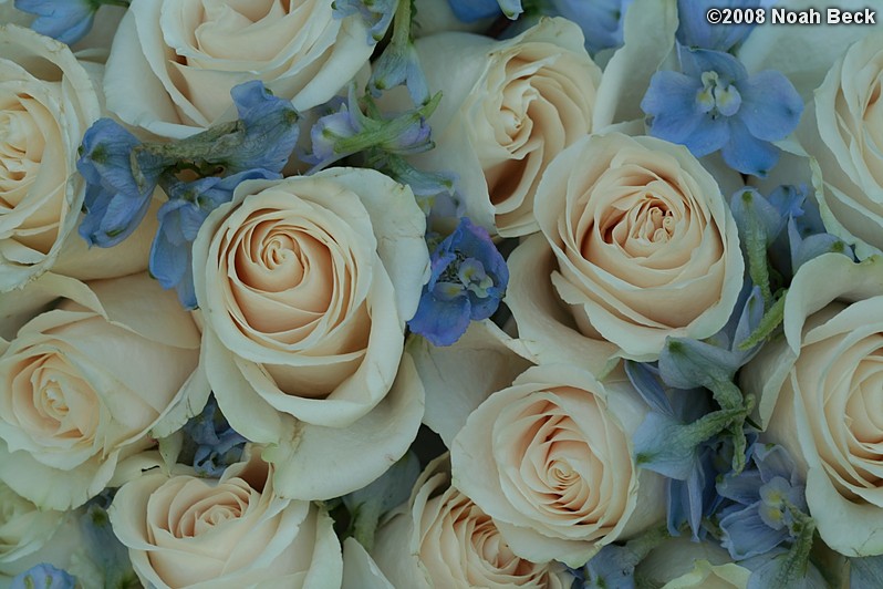 August 23, 2008: hand-held bouquets in a basket