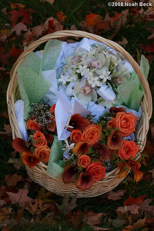 October 18, 2008: hand-held bouquets in a basket